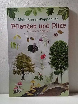 Mein Riesen-Pappebuch - Pflanzen und Pilze in unserer Natur