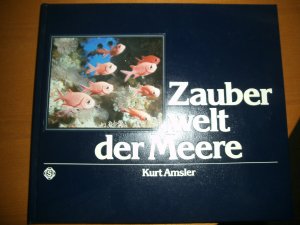 Zauberwelt der Meere