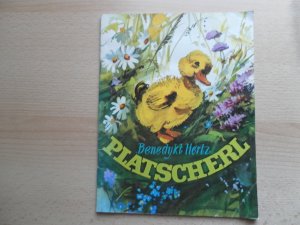 gebrauchtes Buch – Benedykt Hertz – Platscherl