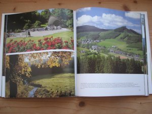 gebrauchtes Buch – Hagemann, C F – Unser Sauerland