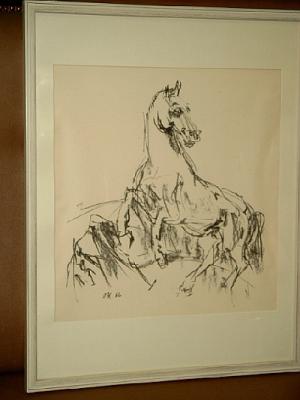 Aufsteigendes Pferd. Lithographie.