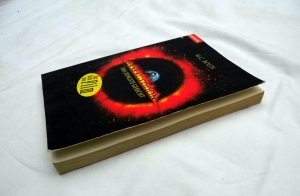 gebrauchtes Buch – Bolin, M C – Armageddon