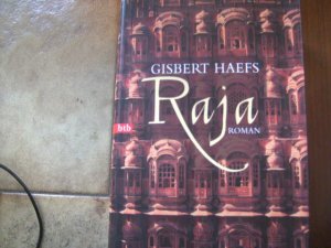 gebrauchtes Buch – Gisbert Haefs – Der Raja