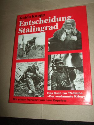 Entscheidung Stalingrad - Das Buch zur TV-Reihe "Der verdammte Krieg"