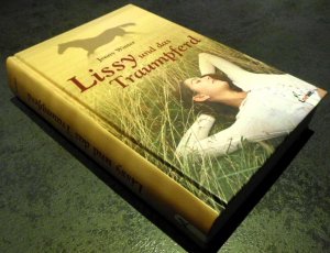 gebrauchtes Buch – Jenny Winter – Lissy und das Traumpferd