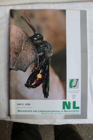 gebrauchtes Buch – Matthias Hille  – Naturschutz und Landschaftspflege in Brandenburg Heft 2/2006