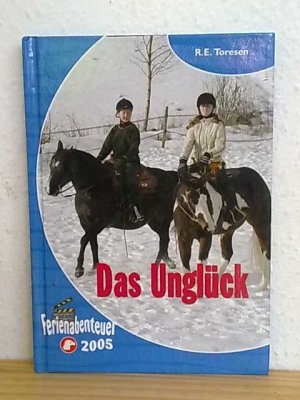 gebrauchtes Buch – R.E. Toresen – Das Unglück