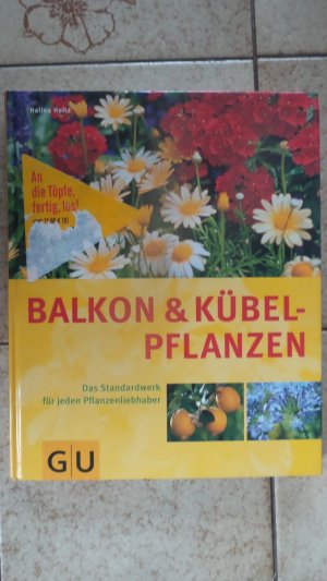 gebrauchtes Buch – Halina Heitz – Balkon und Kübelpflanzen