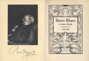 Richard Wagner in seinen Briefen (Bücher der Weisheit und Schönheit)