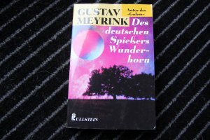 gebrauchtes Buch – Gustav Meyrink – Des deutschen Spiessers Wunderhorn