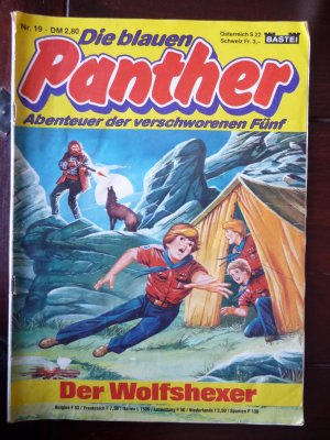 Die Blauen Panther Nr. 19 / Abenteuer der verschworenen Fünf / Der Wolfshexer