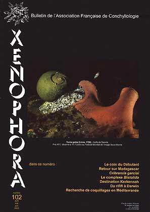 Xenophora 102