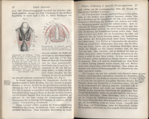 Allgemeine Stimmbildungslehre für Gesang und Rede mit anatomisch physiologischer Begründung (Mit in den Text eingedruckten Holzstichen)