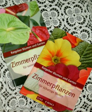 gebrauchtes Buch – Siegfried Lapawa  – 2 Ratgeber Blumen und Garten: Zimmerpflanzen für sonnige Stellen + Zimmerpflanzen für schattige Stellen