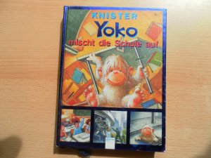 gebrauchtes Buch – Knister – Yoko mischt die Schule auf