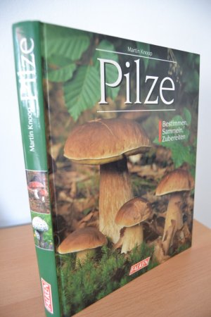 gebrauchtes Buch – Martin Knoop – Pilze : Bestimmen, Sammeln, Zubereiten