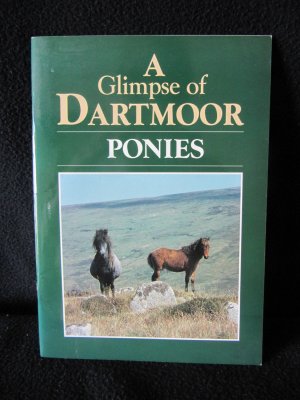 A Glimpse of the Dartmoor Ponies