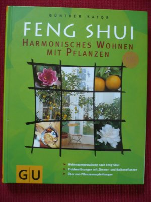 Feng Shui Harmonisches Wohnen mit Pflanzen