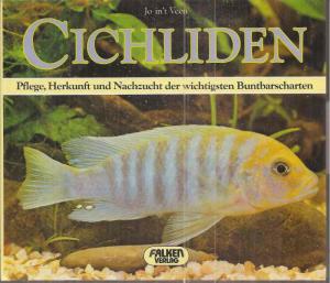 Cichliden