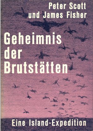 antiquarisches Buch – Peter Scott und James Fisher – Geheimnis der Brutstätten. Eine Island-Expedition (Mit Fotos auf Tafelseiten)