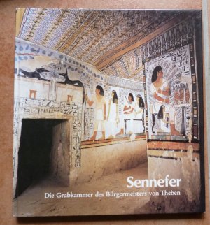 Sennefer - Die Grabkammer des Bürgermeisters von Theben