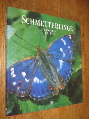 Schmetterlinge