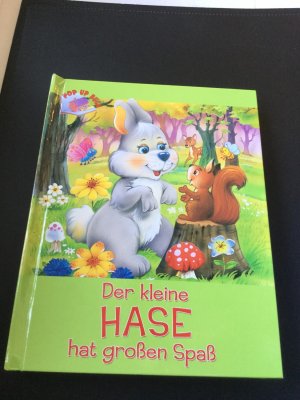 gebrauchtes Buch – Der kleine Hase hat großen Spaß