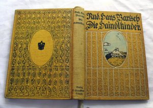 antiquarisches Buch – Rudolf Hans Bartsch – Die Haindlkinder (1911)