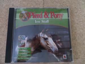 Pferd & Pony Im Stall