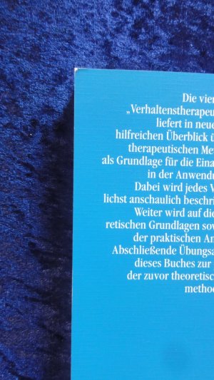 gebrauchtes Buch – Fliegel, Steffen; Groeger – Verhaltenstherapeutische Standardmethoden - Ein Übungsbuch