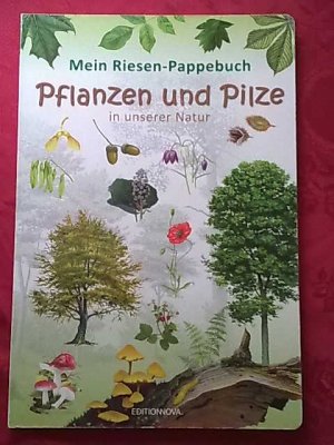 Pflanzen und Pilze in unserer Natur