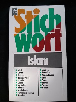 gebrauchtes Buch – Stefan Braun – Islam