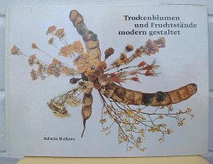 2x Trockenblumen: TROCKENBLUMEN UND FRUCHTSTÄNDE modern gestaltet / MIT GETROCKNETEN BLUMEN GESTALTEN