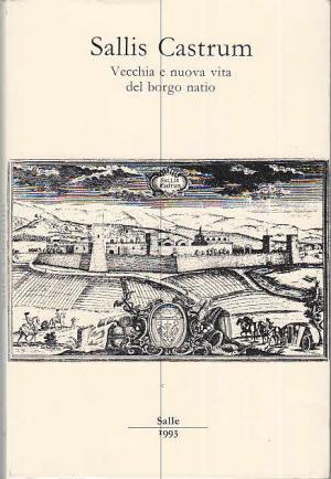 gebrauchtes Buch – De Fino, Gerardo – Sallis Castrum : vecchia e nuova vita del borgo natio