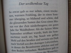 gebrauchtes Buch – Proulx, E. Annie – Der wolkenlose Tag  . Stories (Auswahl) Auswahl aus: Herzenslieder