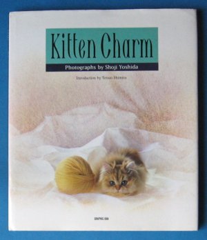 Kitten Charm