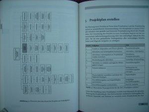 gebrauchtes Buch – Uwe Frölich • Andreas Heiden • Thomas Heydemann – IT Projektmanagement zur optimalen Netzwerk-Infrastruktur • Tools und Templates für die Projektplanung auf CD