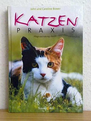 Katzenpraxis