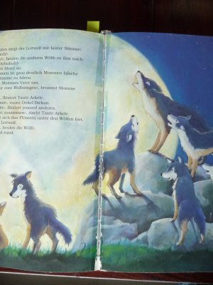 gebrauchtes Buch – Langreuter, Jutta; Hebrock – Kleiner Wolf Momme