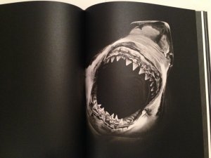 gebrauchtes Buch – Robert Longo – Charcoal