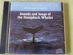 Sounds and Songs of the Humpback Whales