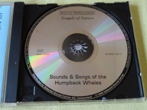 gebrauchter Tonträger – Gentle Persuasion – Sounds and Songs of the Humpback Whales