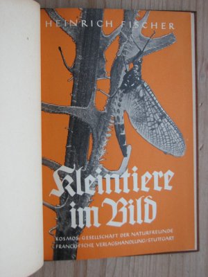 antiquarisches Buch – Heinrich Fischer – Kosmos : Kleintiere im Bild