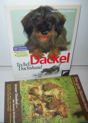 gebrauchtes Buch – Horst Kettendörfer – Dackel, Teckel, Dachshund