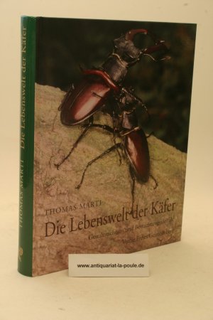 gebrauchtes Buch – Thomas Marti – Die Lebenswelt der Käfer. Gestaltreichtum und Betrachtungsvielfalt