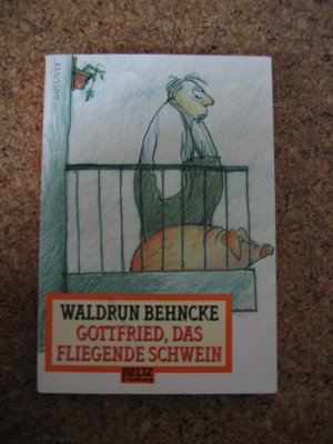 gebrauchtes Buch – Waldrun Behnecke – Gottfried, das fliegende Schwein