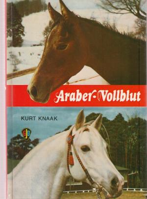 Araber - Vollblut.