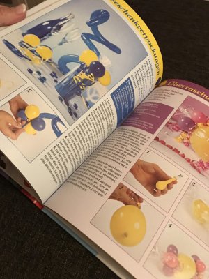 gebrauchtes Buch – Michael Müller – Luftballons