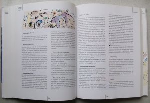 gebrauchtes Buch – Krista Federspiel und Vera Herbst – Handbuch Die Andere Medizin Nutzen und Risiken sanfter Heilmethoden (Ausgabe von 1996)