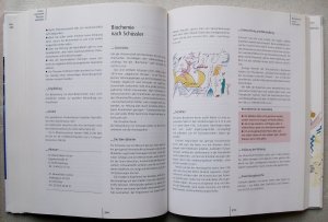 gebrauchtes Buch – Krista Federspiel und Vera Herbst – Handbuch Die Andere Medizin Nutzen und Risiken sanfter Heilmethoden (Ausgabe von 1996)